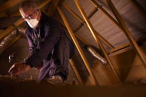 Best Insulation Maintenance and Repair in Steele, MO